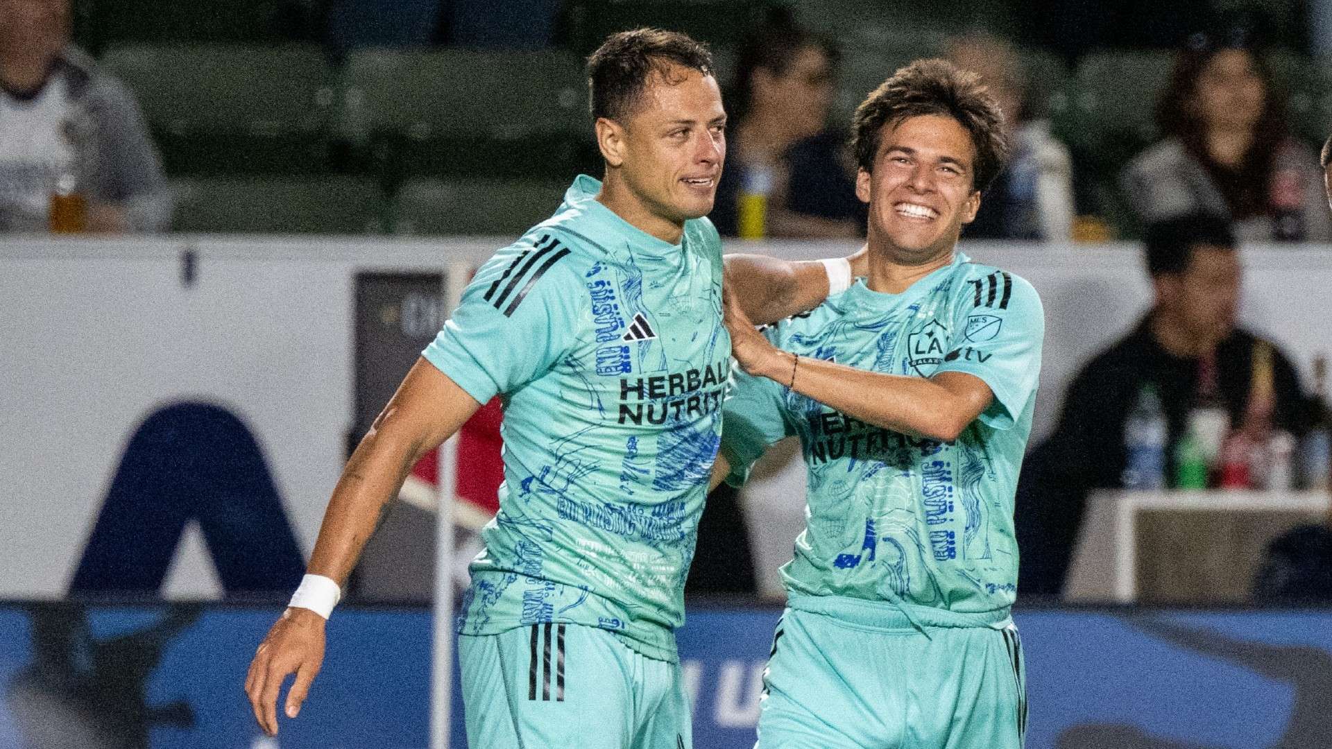 乐部任职 乐部任职