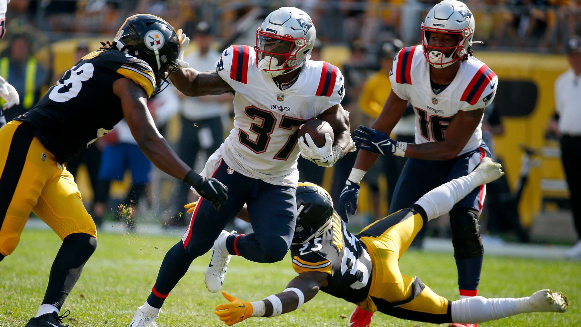 仅仅依靠战 仅仅依靠战