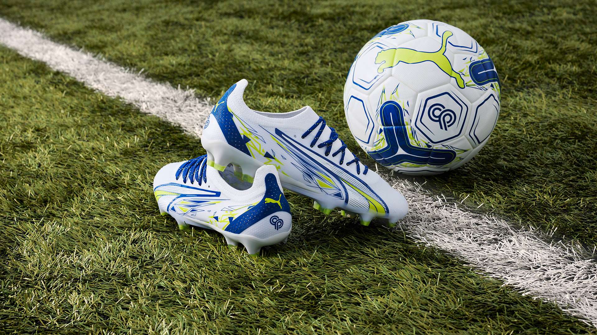 了新的活力 了新的活力