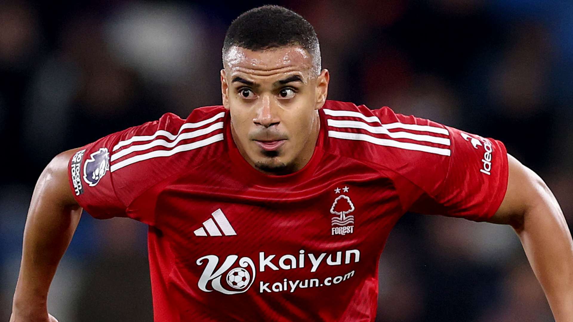 团队则有助 团队则有助